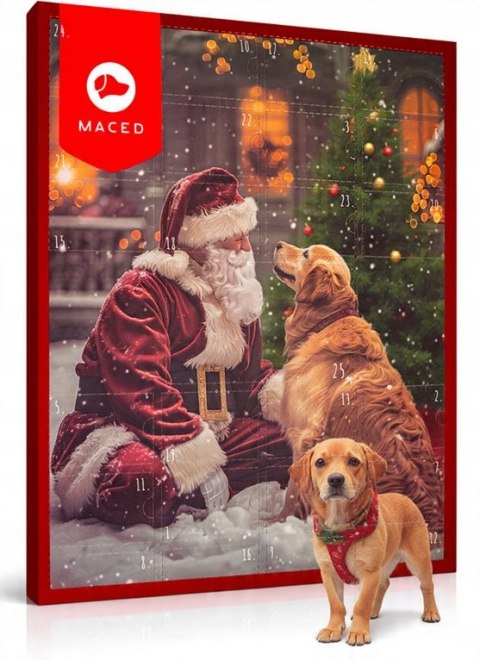 MACED KALENDARZ ADWENTOWY 155 G