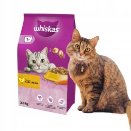 Whiskas karma sucha kurczak 3,8 kg dla kota dorosłego