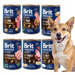 BRIT PREMIUM BY NATURE 24X400 MIX SMAKÓW