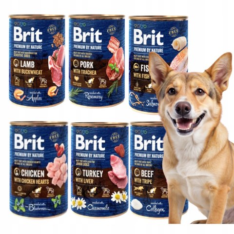 BRIT PREMIUM BY NATURE 24X400 MIX SMAKÓW