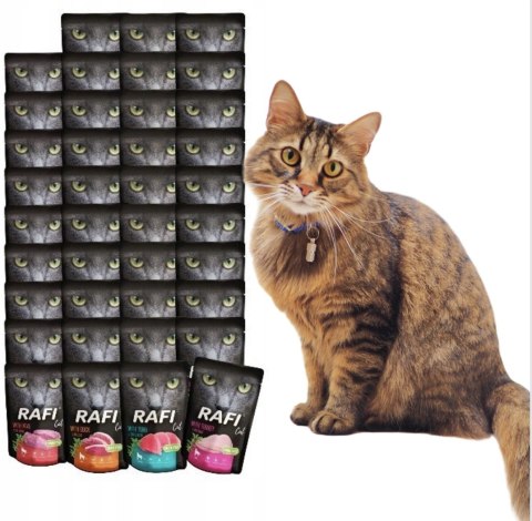 Rafi 40x100 Saszetki mokra karma dla kota