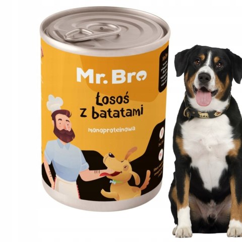 Mr. Bro Łosoś z Batatami 800g - Monoproteinowa karma dla alergika
