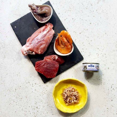 Ollo Cat nr 4 Tuna & Chicken with Squid & Shrimp in broth