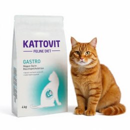 Kattovit Gastro 4 kg - sucha karma dla kotów wrażliwych i z problemami trawiennymi