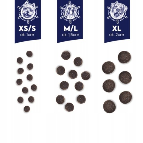 Baltica Salmon Hypoallergenic 3 kg karma hipoalergiczna dla psa