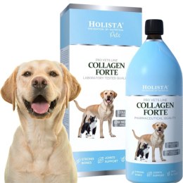 Holista Collagen Forte 1000ml