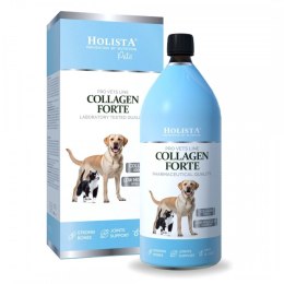 Holista Collagen Forte 100ml