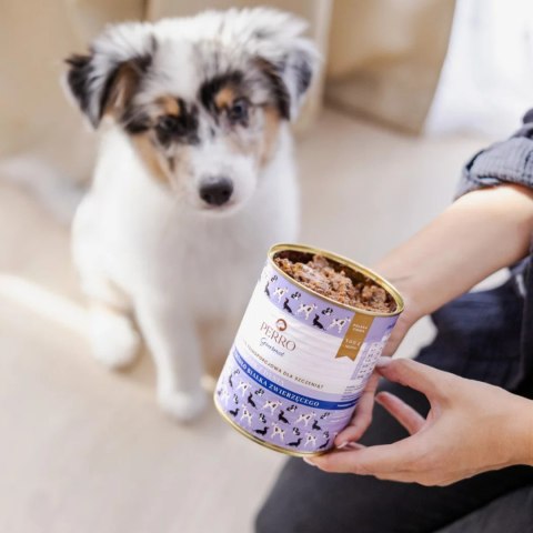 PERRO JUNIOR Gourmet Królik z dynią 6x400g