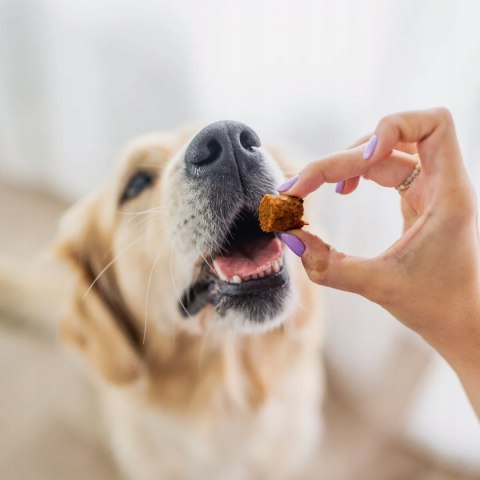 Perro BON BON Wołowina przysmaki dla psa 80g - zdrowe stawy