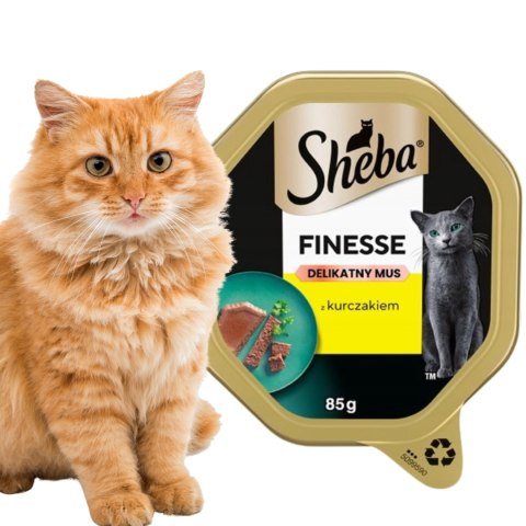 SHEBA MIX SMAKÓW ZESTAW 24x85 g zestaw tacek najlepsze smaki dla kota