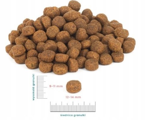 SUCHA KARMA PERRO Bezzbożowa Cielęcina z Batatami Średnie Duże Rasy 1 kg dla