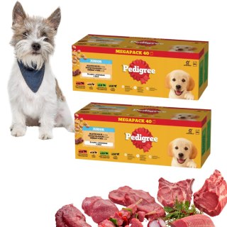 2 boxy Pedigree Junior pakiet startowy dla szczeniąt MEGA ZESTAW 80X100