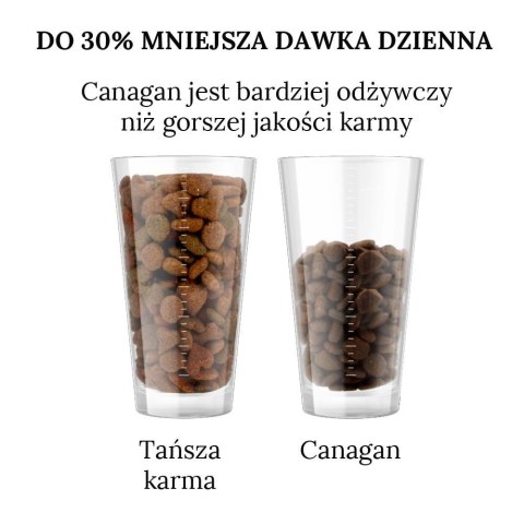 Canagan Country Game 6 kg karma dla psa kaczka sarna królik bez zbóż