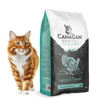 Canagan Dental 375g Karma dla Kota Czyszczenie Zębów Bezzbożowa