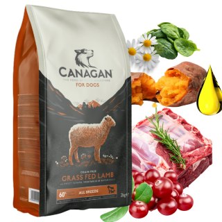 Canagan Grass Fed Lamb Karma dla Psa Bezzbożowa Jagnięcina 6KG