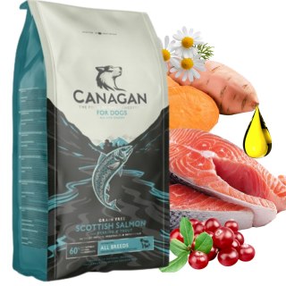 Canagan Scottish Salmon 2kg Karma dla Psa Bezzbożowa Łosoś