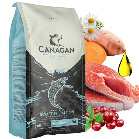 Canagan Scottish Salmon 2kg Karma dla Psa Bezzbożowa Łosoś