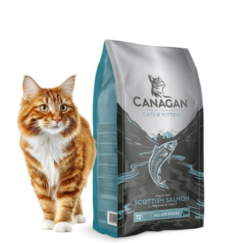 Canagan Scottish Salmon 375g Bezzbożowa Karma dla Kota Łosoś