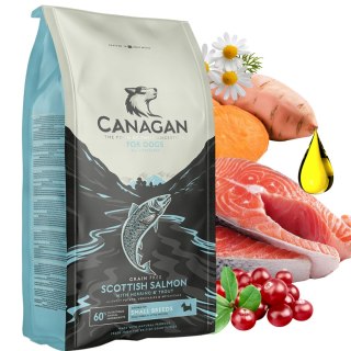 Canagan Scottish Salmon 6 kg Karma dla Psa Bezzbożowa Łosoś