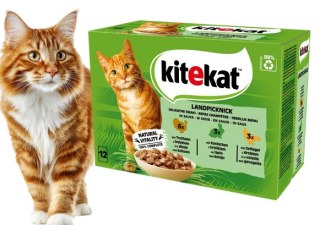 KITEKAT SASZETKI dla kota z indykiem królikiem i drobiem w sosie 12x85 g