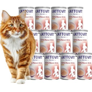 PAKIET Kattovit NIERE RENAL Drink kawałki mięska 12X135ml Kurczak