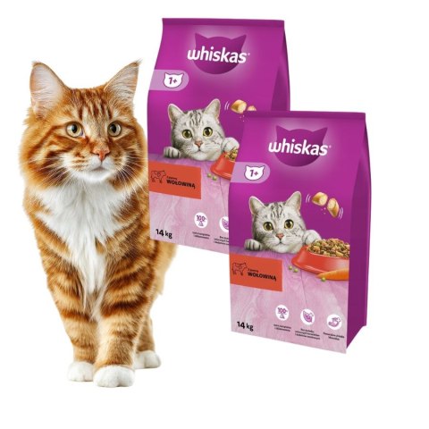 PAKIET Whiskas 1+ Sucha karma dla kota dorosłego z wołowiną 2X1,4 k