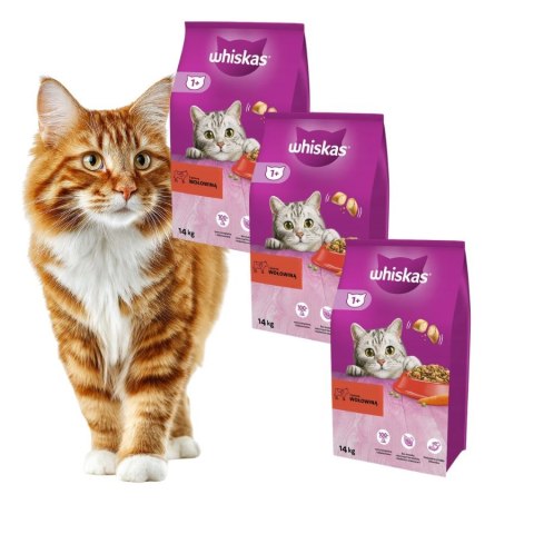 PAKIET Whiskas 1+ Sucha karma dla kota dorosłego z wołowiną 3X1,4 k