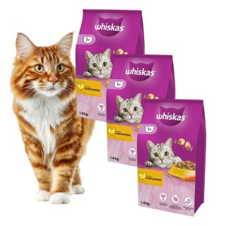 PAKIET Whiskas 1+ Sucha karma z kurczakiem 3X1,4 kg CHICKEN