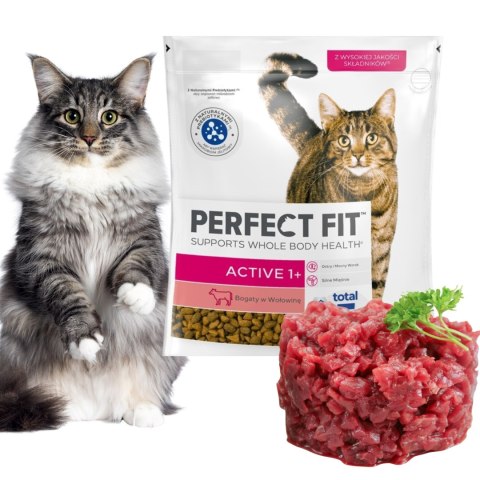 PERFECT FIT PAKIET PRÓBNY DLA KOTA DOROSŁEGO 4X750G