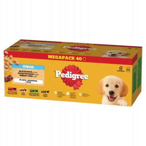 Pedigree Szczeniak Junior Wybór Smaków 40x100g Mokra Karma Dla Szczeniąt W Galaretce