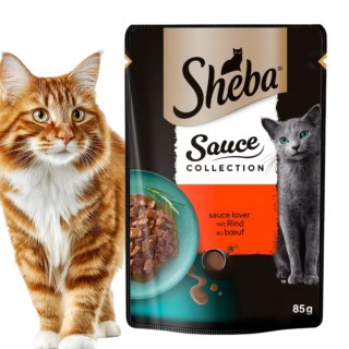 Sheba Sauce Collection 85g mokra karma dla kota z wołowiną w sosie