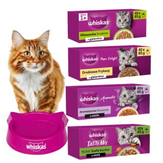 Whiskas MEGA PAKIET ZAPAS 160X85 DLA KOTA Z MISKĄ
