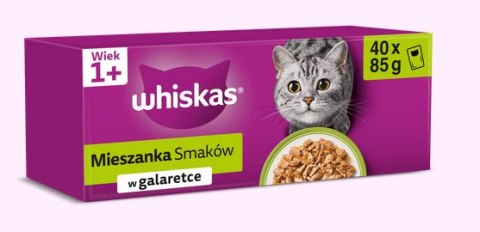 Whiskas MEGA PAKIET ZAPAS 160X85 DLA KOTA Z MISKĄ