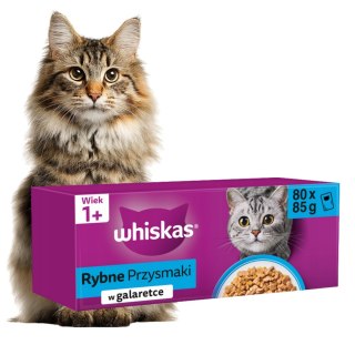 Whiskas Rybne Smaki w galaretce 80X85G DUŻY ZAPAS