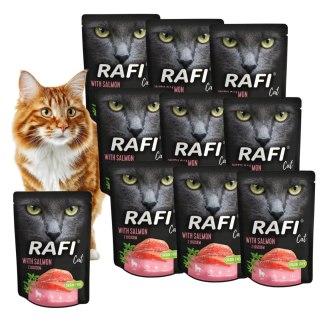 ZESTAW DOLINA NOTECI Rafi Cat mokra karma dla kota 10X300g łosoś