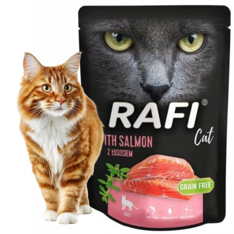 ZESTAW DOLINA NOTECI Rafi Cat mokra karma dla kota 10X300g łosoś