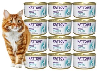 ZESTAW KATTOVIT GASTRO układ pokarmowy KACZKA puszka dla kota 12X85g
