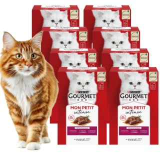 ZESTAW PURINA GOURMET Mon Petit ulubione smaki kota 48x50g
