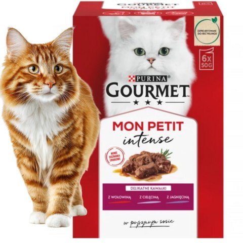 ZESTAW PURINA GOURMET Mon Petit ulubione smaki kota 48x50g