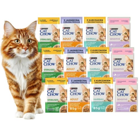 Zestaw Purina Cat Chow 12 x 85 g - Mix smaków dla dorosłych kotów STERIL