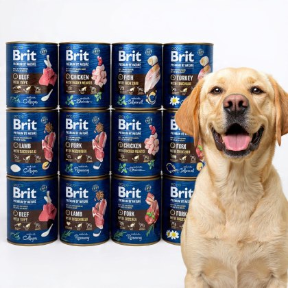 BRIT PREMIUM BY NATURE 12X800 MIX SMAKÓW