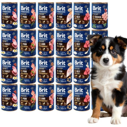 BRIT PREMIUM BY NATURE 24X400 wszystkie smaki