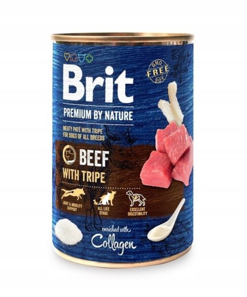 BRIT PREMIUM BY NATURE 24X400 wszystkie smaki