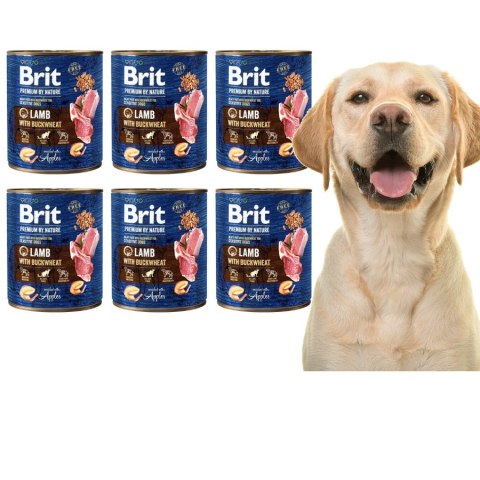 BRIT PREMIUM BY NATURE 6X800G LAMB&BUCKWHEAT JAGNIĘCINA