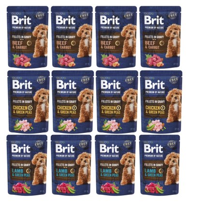 BRIT PREMIUM BY NATURE POUCH GRAVY FILLETS 12x85 MAŁE RASY