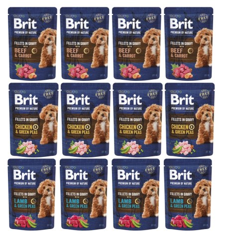 BRIT PREMIUM BY NATURE POUCH GRAVY FILLETS 12x85 MAŁE RASY
