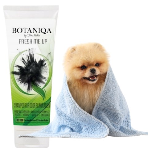 Botaniqa Fresh ME Up Szampon OCZYSZCZAJĄCY 250ml z węglem aktywnym