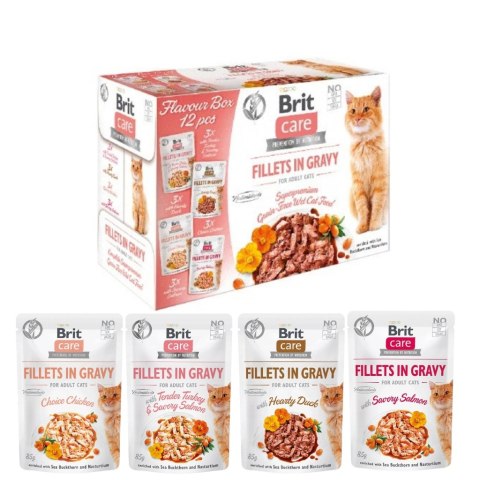 Brit Care CAT FG Flavour Box 12X85g saszetki dla kota w sosie