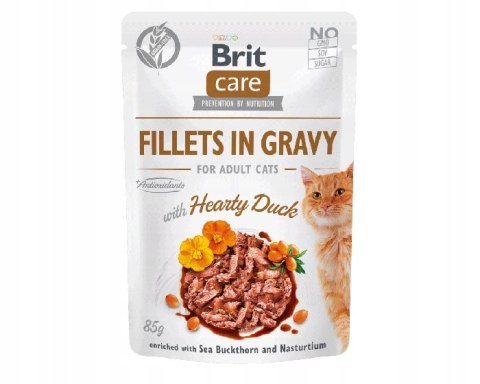 Brit Care CAT FG Flavour Box 12X85g saszetki dla kota w sosie