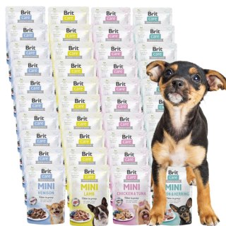 Brit Care Mini Pouch 40x85 DUŻY ZAPAS Zestaw mokra karma dla małych ras XS
